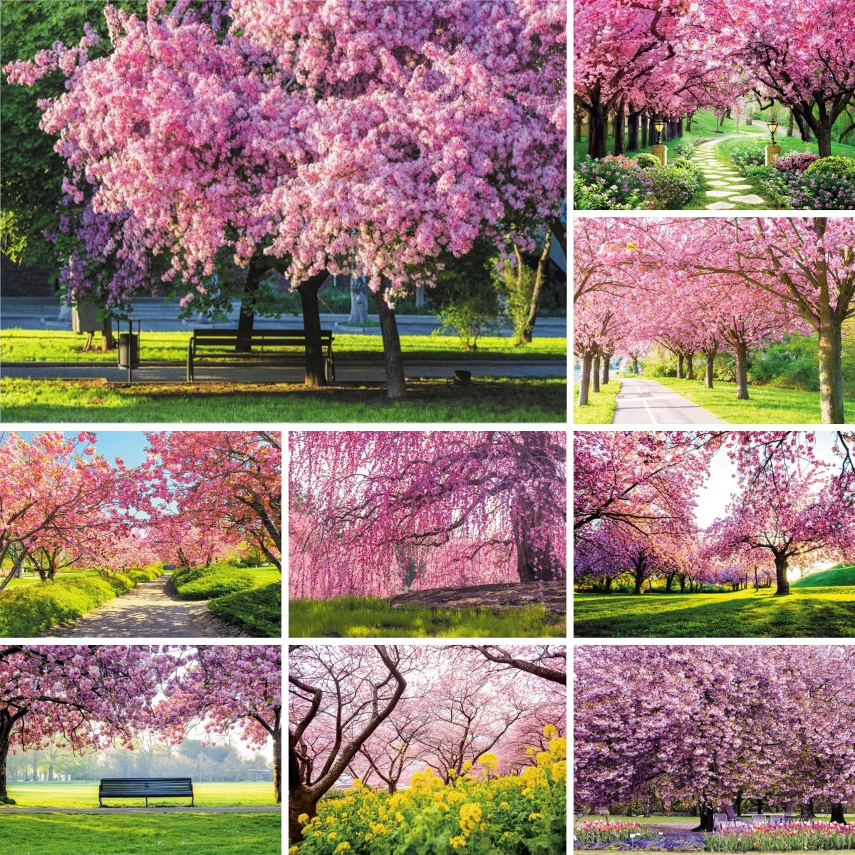 Spring Cherry Blossom Forest Photography Background Natural Landscape Adults Girls Portrait Wedding Party Decor Photo Backdrop