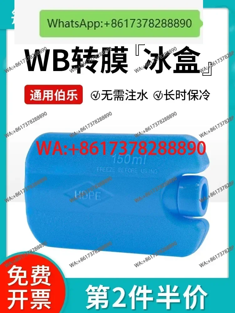 Western Blot Transf… - image