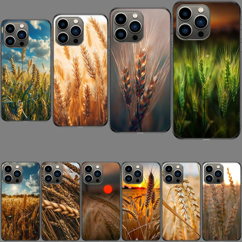 Mature Wheat Grains Phone Case For Apple Iphone 15+ 14 Plus 16 Pro Max 12 13 Mini 11 Pro X XS Max XR Cover Shell Coque