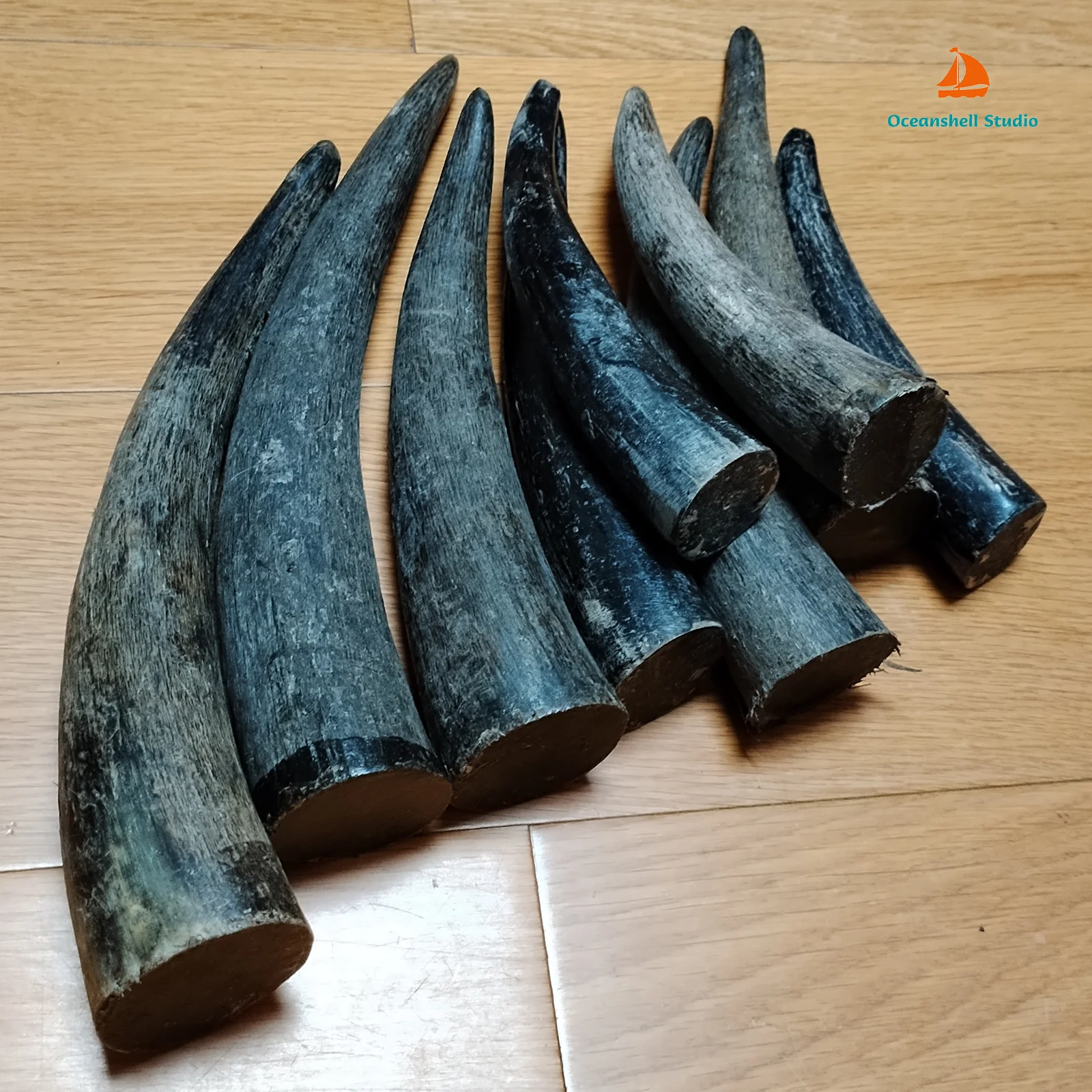 1 PC Solid Yak Horns Authentic Black OX Horn Tibetan Crafts Raw