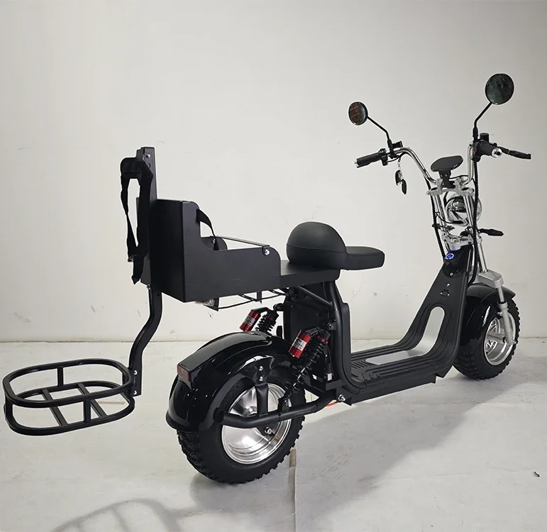 Rear and battery area of the golf Citycoco scooter