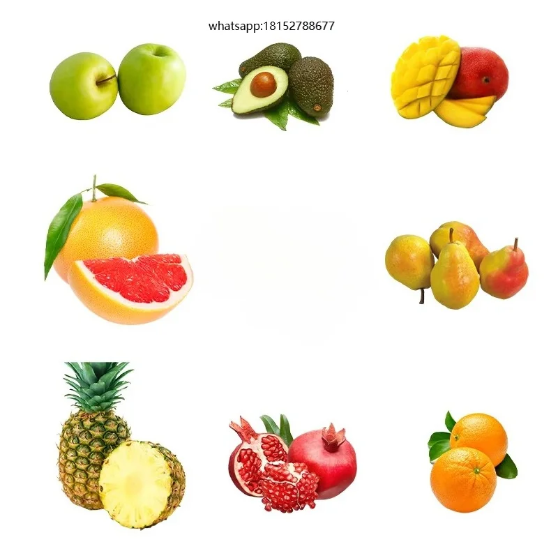 Customize Fruit Vegetable Grader  Machine