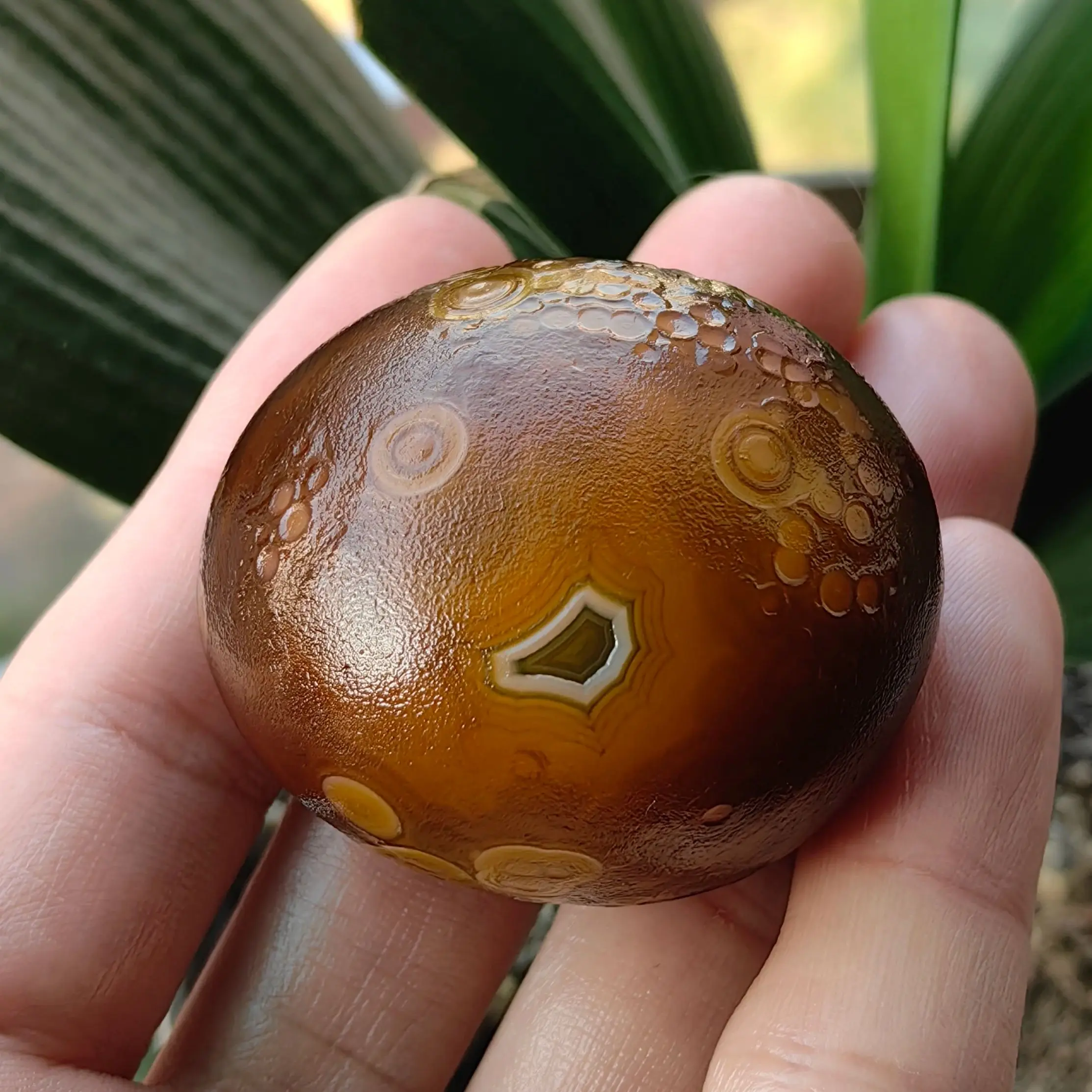 Pure Natural Divine…
