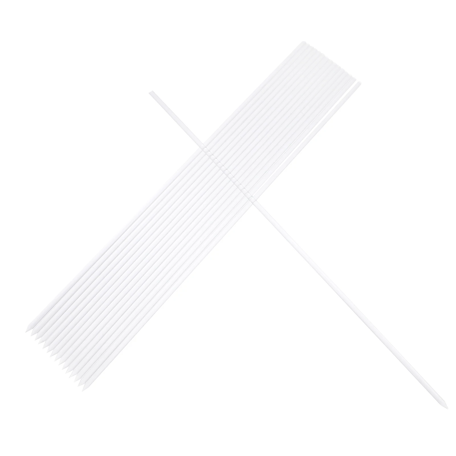 

16Pcs Clear Acrylic Plant Stakes Indoor Outdoor Plant Support Sticks Orchid Stakes Climbing Rod Small Stem Support Flower Frames