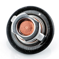 Thermostat for Kubota D902 D905 D1100 B1700  B2920 RTV1100 RTV1140 RTV900 Replace 19434-73014