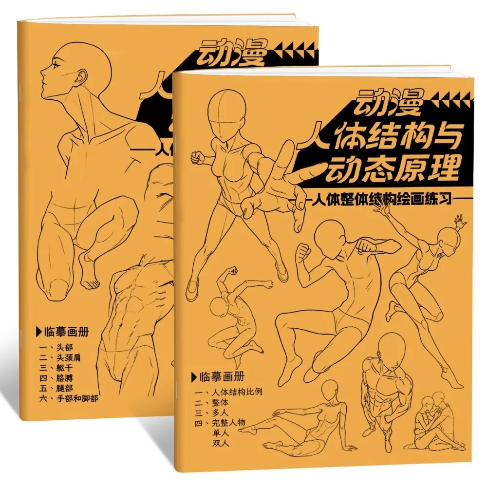 Anime Human Body Structure Dynamic Tracing Book, Character Sketch and Quick Sketch Practice Album for Self-learning Beginners