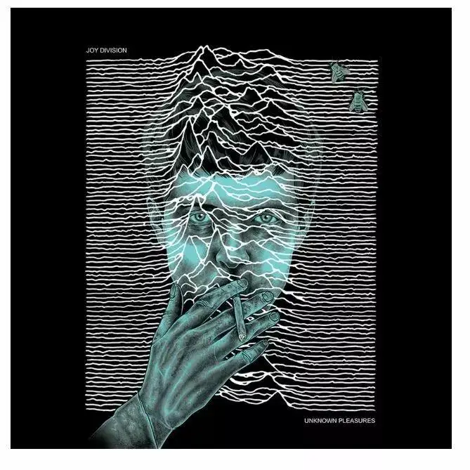 Joy Division Unknown Pleasures Poster Printing Home Decor Wall Art Painting