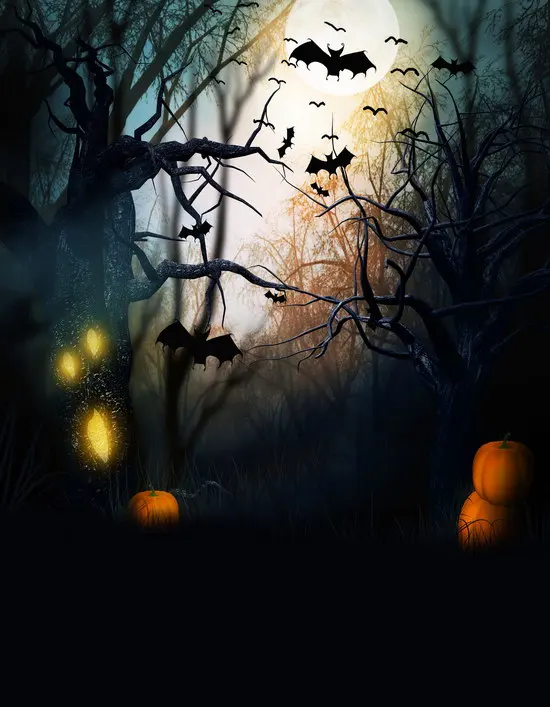 Fondo de bruja al aire libre para niños, decoración de fiesta de Halloween, fondos de fotografía para estudio fotográfico, accesorios de pancarta