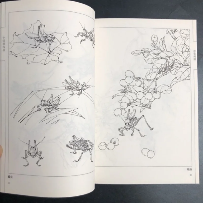 Coloring Book for Adults and Teens Featuring  with Easy and Simple Designs for Relaxation Chinese painting sketch