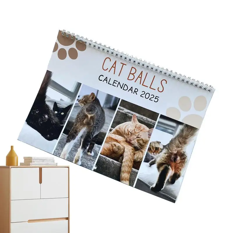 

Cat Calendar 2025 12 Months Calendar Cute And Aesthetic Decoration Cat Balls Calendar For Organizing & Planning