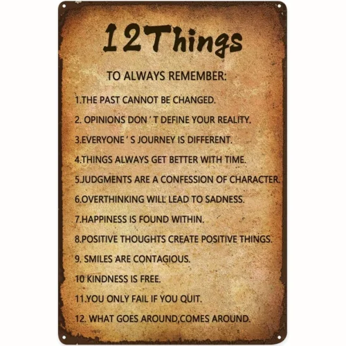 Metal Sign 12 Things That Require Zero Talent Retro Metal Tin Sign Vintage sign