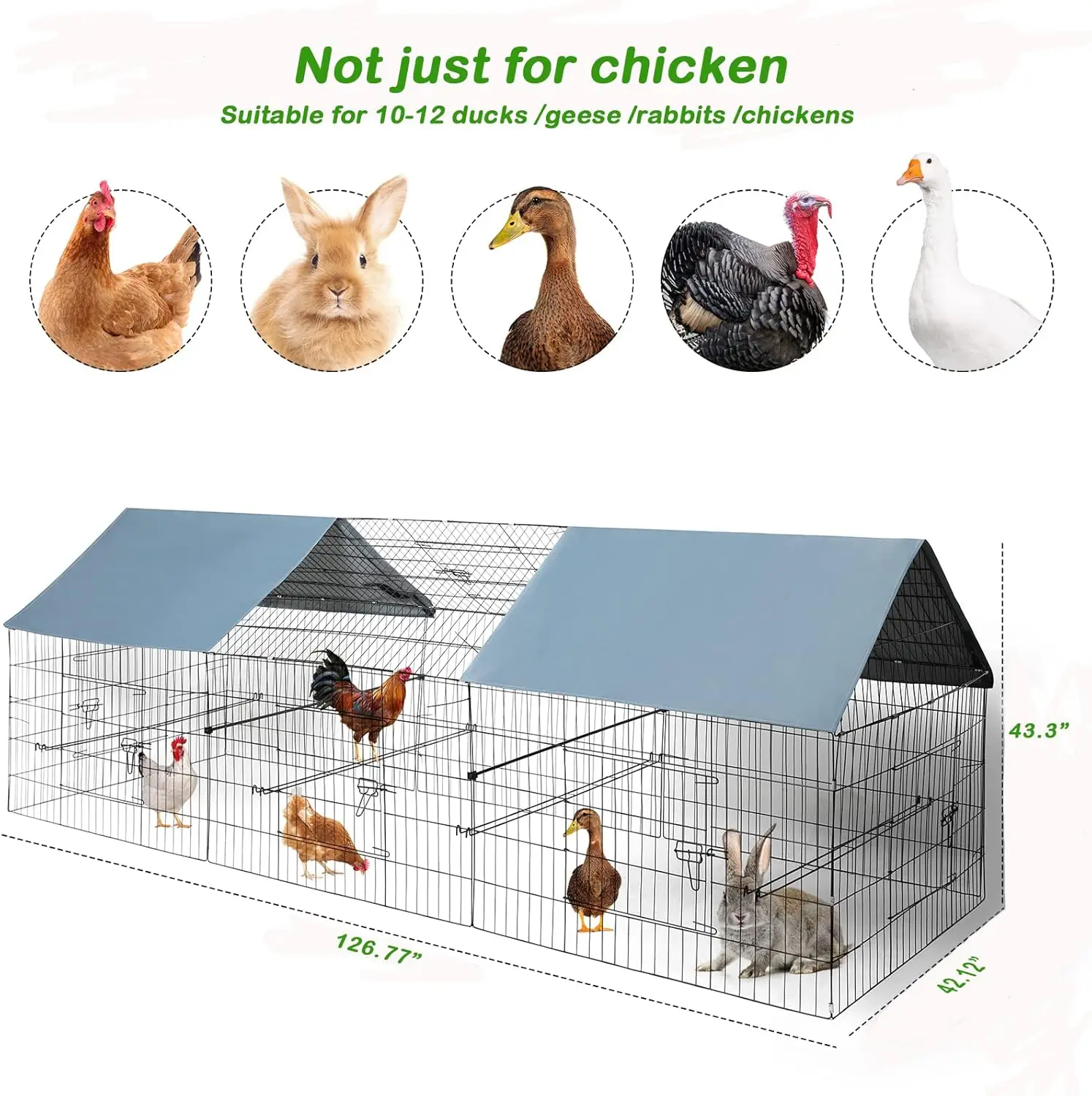 Metal Chicken Coop Playpen, 126