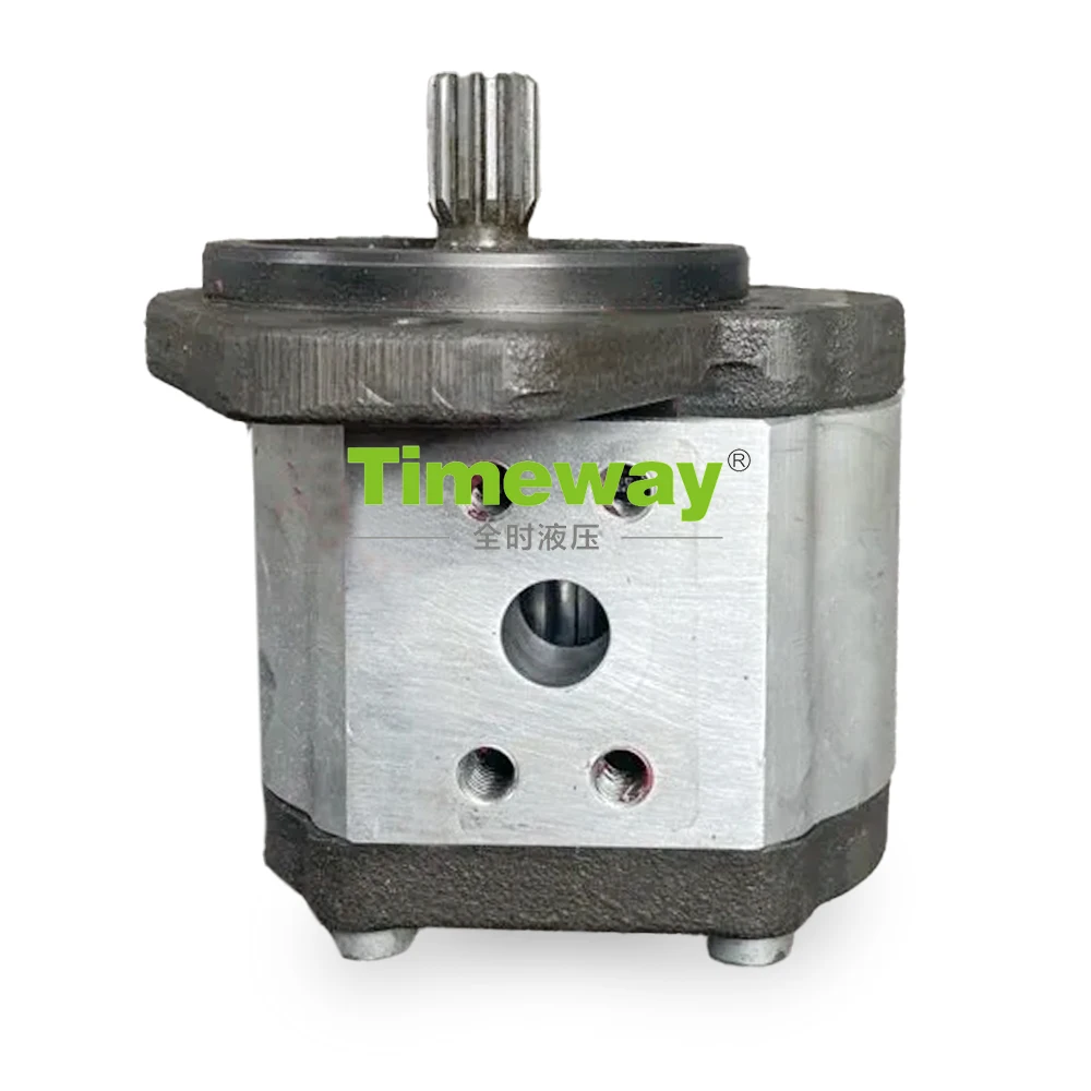 Hydraulic Gear Pump Gear Oil Pump Replace for 1NR.0510 725 103 37102 Gear Oil Power Pump Mini Loader Parts