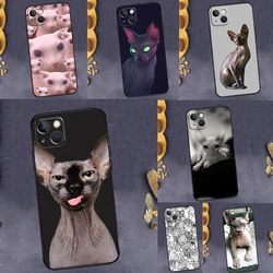 Sphynx Sphinx Cat Case For iPhone 14 13 12 11 15 16 Pro Max Plus X XS XR 12 13 Mini Cover Accessories