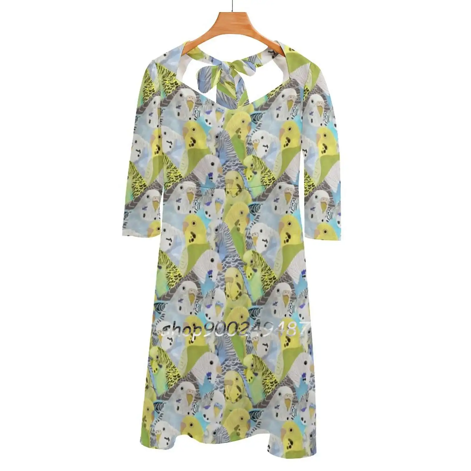 Budgie Parakeets Sweet Elegant Dress Women Korean Kawaii Square Collar Dress Bugies Parakeet Parakeets Budgies Parakeet Pattern