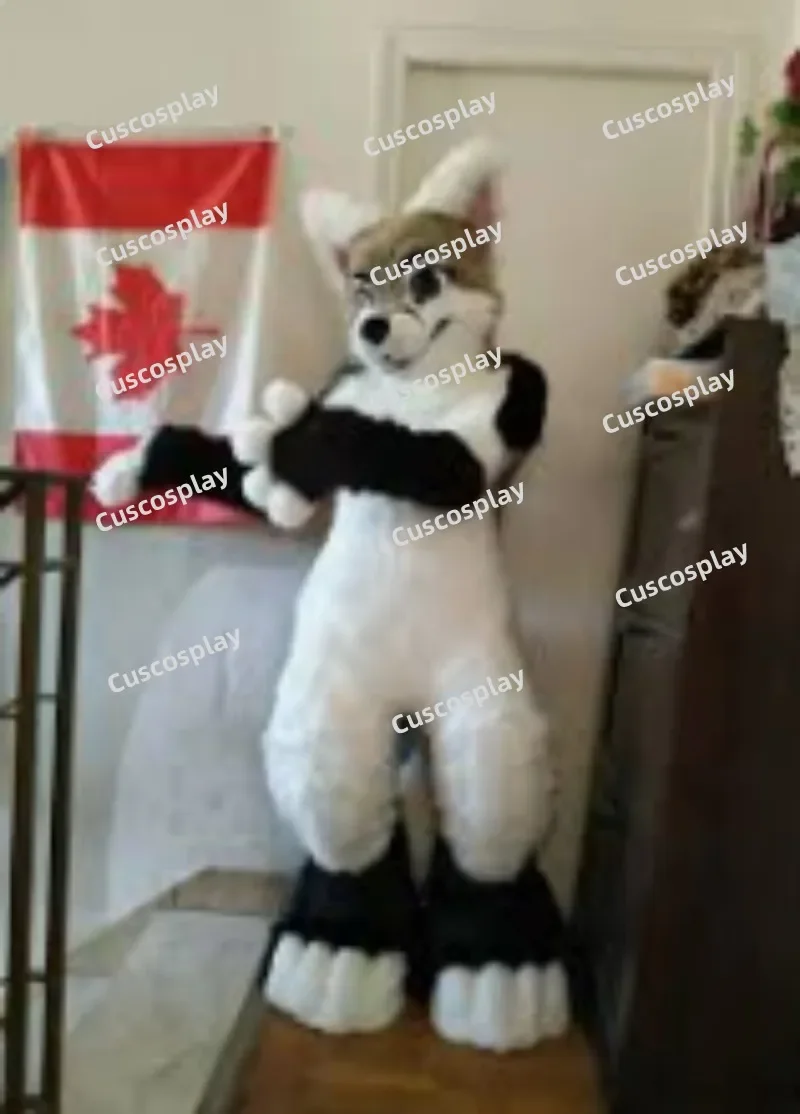 Black White Grey Fu…