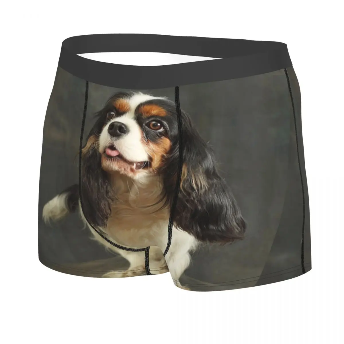 Трусы-боксеры мужские с 3D-принтом, нижнее белье для собак, Cavalier King Charles Spaniel