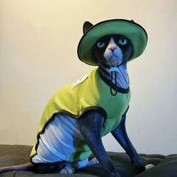 Ropa verano para gatos sin pelo Devon Rex: chaleco malla verde y gorro