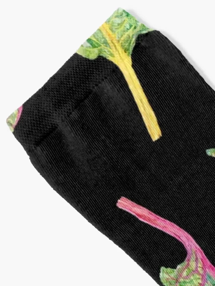 Watercolour Swiss Chard Socks Running golf Socks For Girls Men's