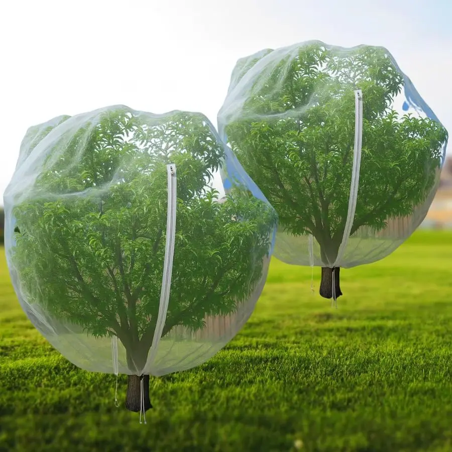 13 X 13 Ft Large Fr…