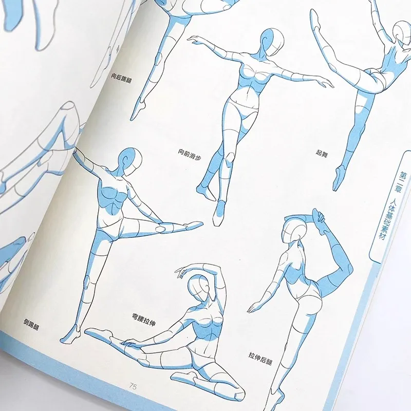 Dynamic Collection Two Dimensional Animation Human Body Materials Single Sketching Anime for Beginners