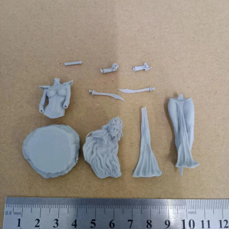 Ruby Princess Resin Figure Full 1/24 Scale 75mm Model Kit Diy Miniatures GK Unassembled and Unpainted Diorama Toys