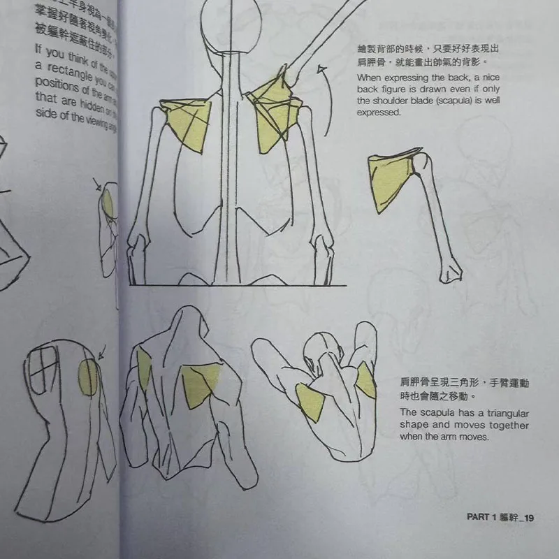 New POINT CHARACTER DRAWING TACO Korean Painter's Animation Character Quick Qrawing Art Book Chinese Version Art Libros