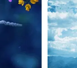 Android Multimedia … - image