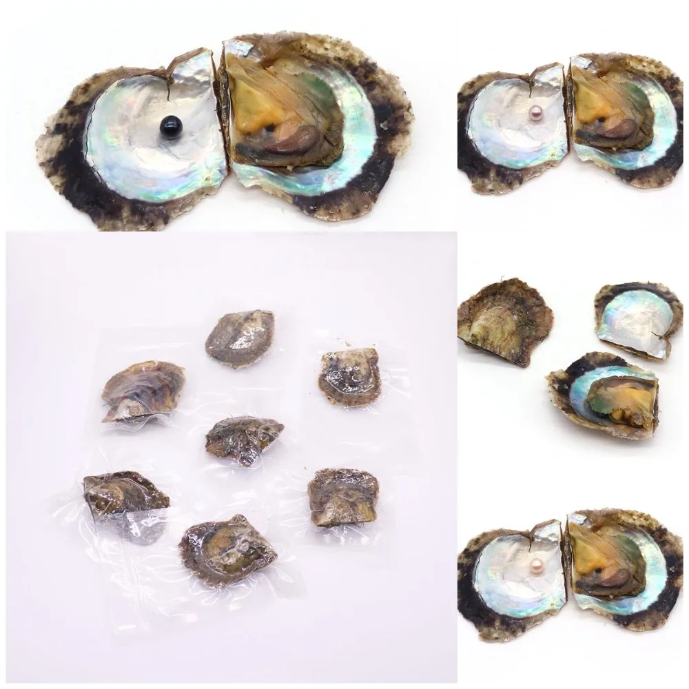 

Natural Seawater Pearl Shells with Random Colors One Pearl Per Oyster Round Pearls From Sea Oysters Vacuum-packed DIY Jewelry