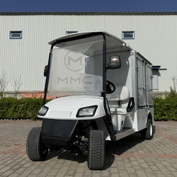 2 Seater Buggy Trolley UTV New Mini Truck Utility Vehicle Cargo Box 72V Lithium Battery Electric Golf Cart