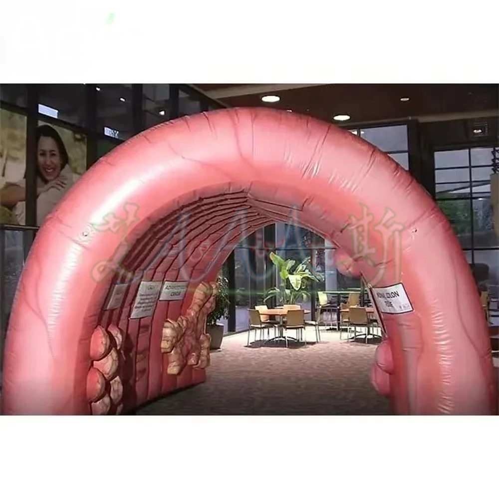 High Quality Giant 4x4x3mH Inflatable Colon For Medical Teaching Use Custom Inflatable Intestine Organ Tunnel Tent