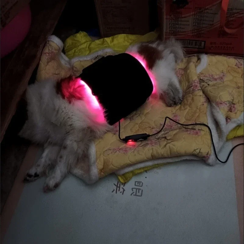 Veterinary Grade Laser Therapy Infrared Red Light Belt for Dog Joint & Muscle Pain Treatment