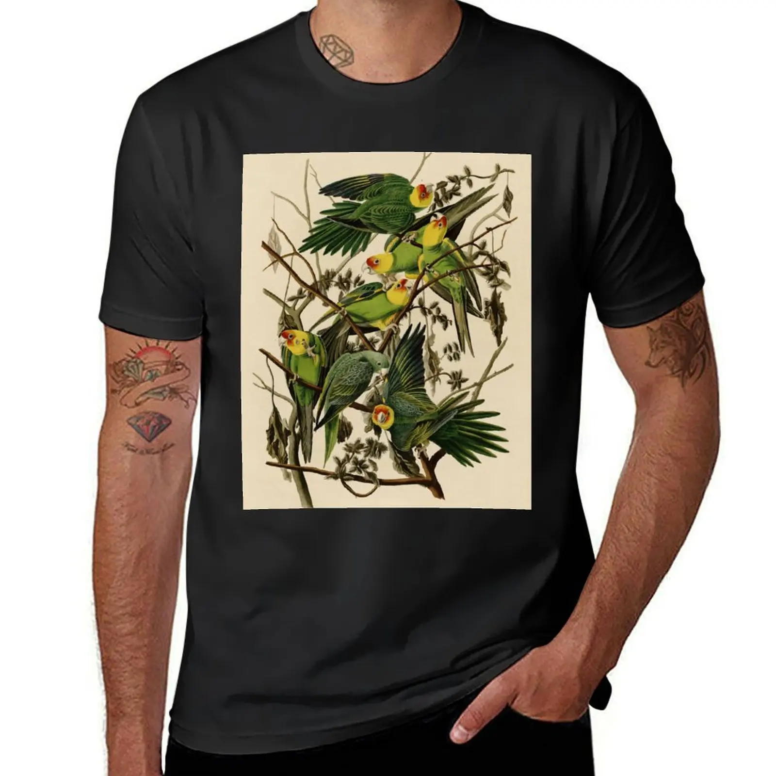 Vintage Parrot Illustration T-Shirt Aesthetic clothing oversizeds sports fans fitted t shirts for men