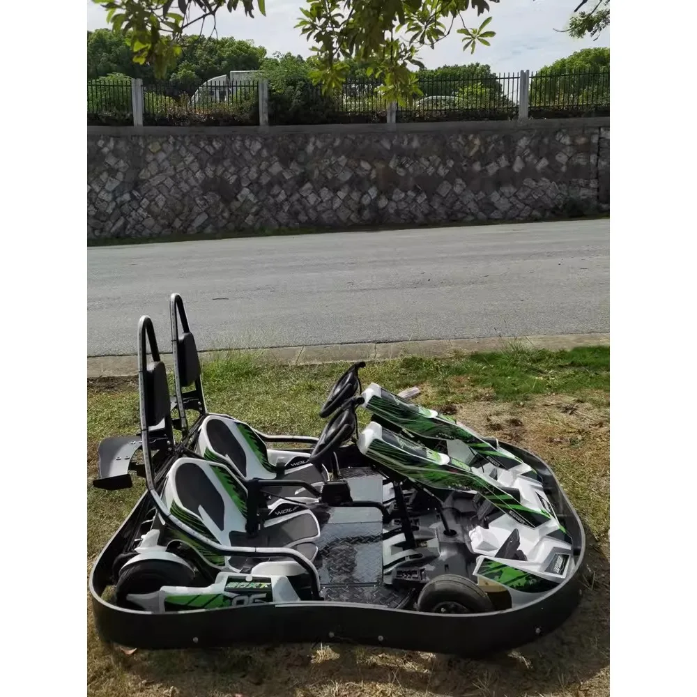 High Speed Go Kart Electric Go Kart Karting Cars for Sale Racing Go Kart Double People Style