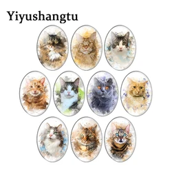 귀여운 동물 고양이 페르시아 고양이 혼합 타원형 사진 유리 카보숑 플랫 백, 13x8mm, 18x2 5mm, 30x40mm, 10 개
