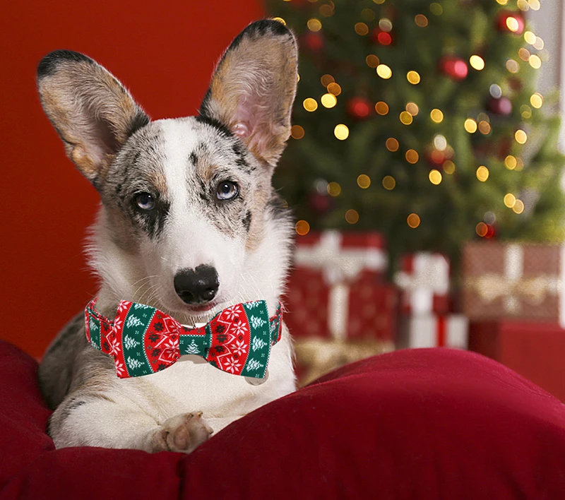 Unique Style Paws Personlized Christmas Dog Collar with Bow Green Red Dog Collar Flower Dog Collar Large Medium Small Dog