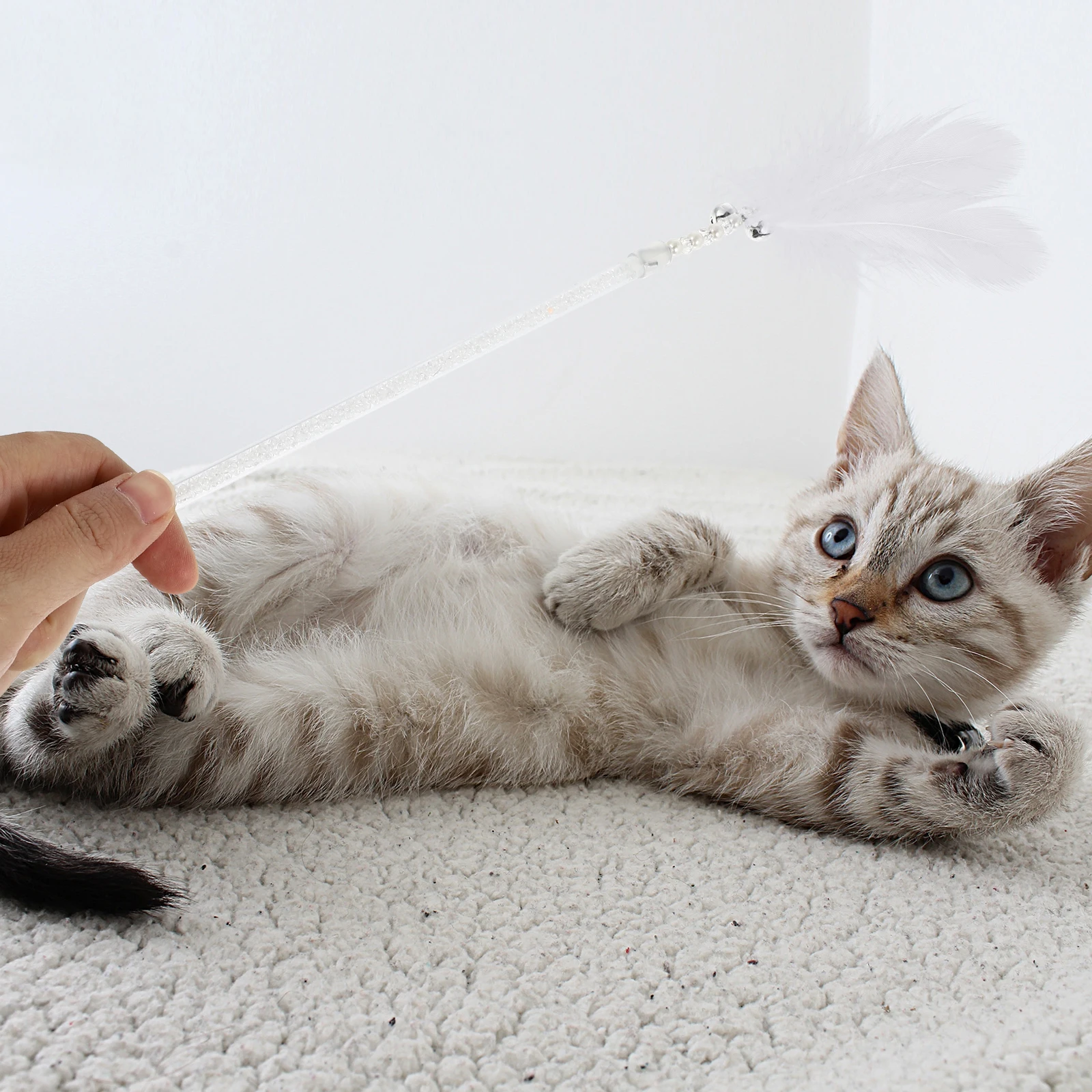 

200Pcs Decor Natural Real for DIY Craft Home Decoration Wedding Party Supplies Exquisite Swan Props