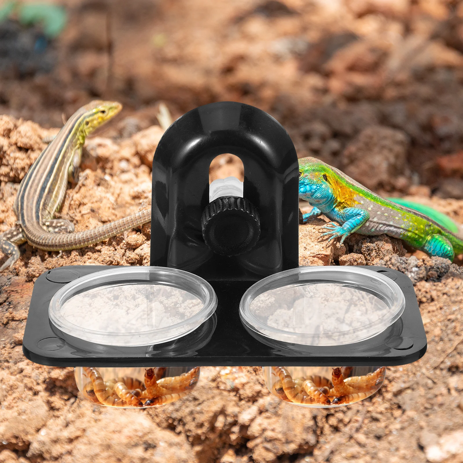

Pet Feeder Reptile Bowl Gecko Feeding Animal Lizard Tools Suction Cup Food Water Dish