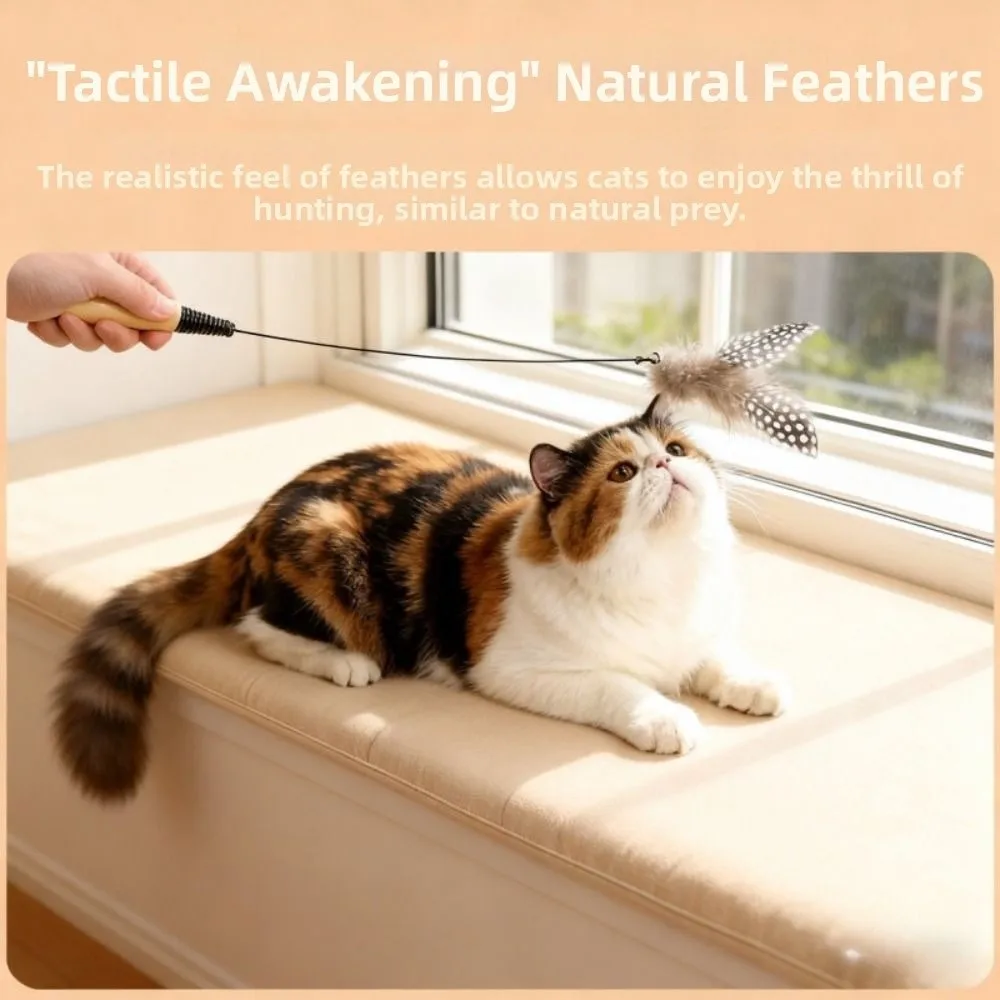 Wooden Handle Spring Teasing Cat Stick Simulation Fishing Rod Interactive Cat Teaser Stick Feather Replaceable Bell Squeaky Cat