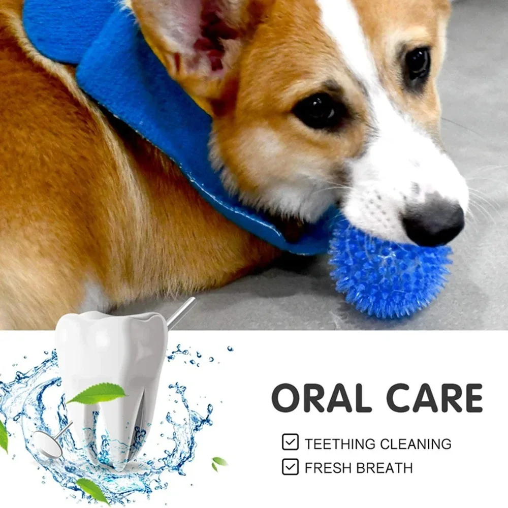 Pet Dog Ball Toys Cat Puppy Sounding Toy Interactive Squeaky Tooth Cleaning Ball TPR Training Pet dog Teeth Chewing Thorn Balls