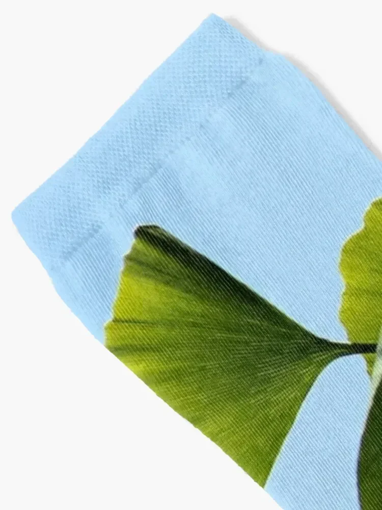 Gingko Biloba Tree Socks Argentina luxury Socks For Men Women's