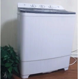 9.2KG Washing Machine Household Small Mini Convenient Double Barrel Double Cylinder Washing and Stripping Integrated Machine