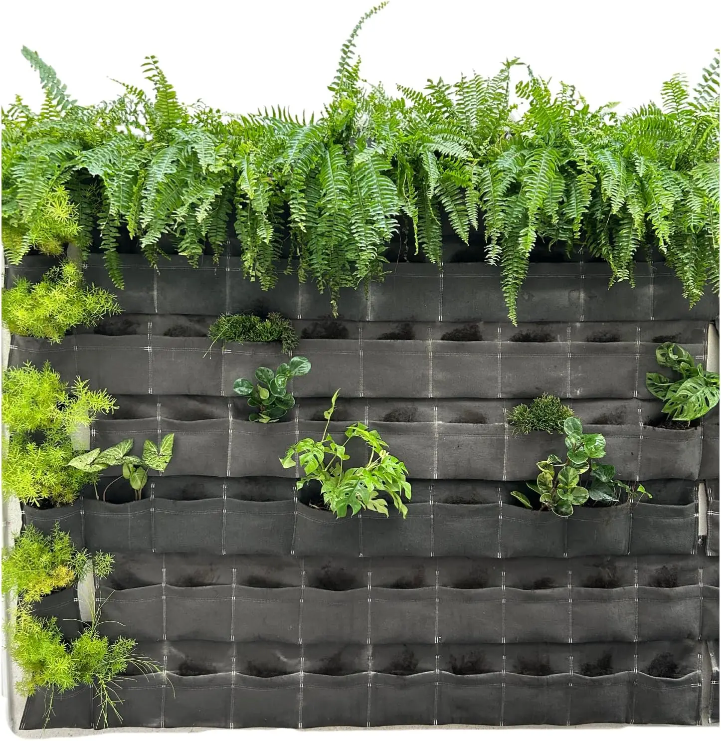 10 Pockets Fence Ha…