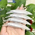9064-20pcs