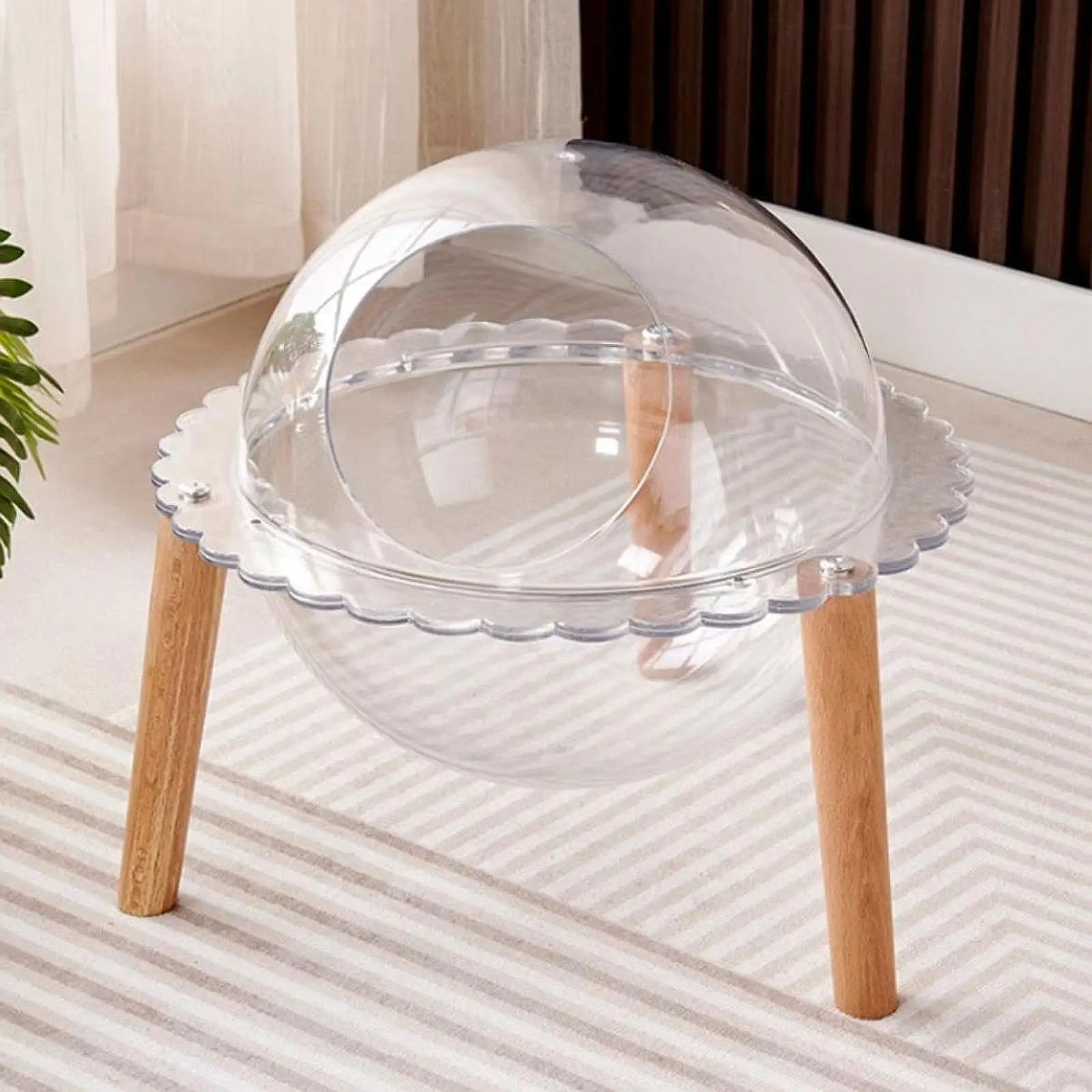 Capsule Cat Bed Freestanding Transparent Cat Habitat All Seasons Kitten