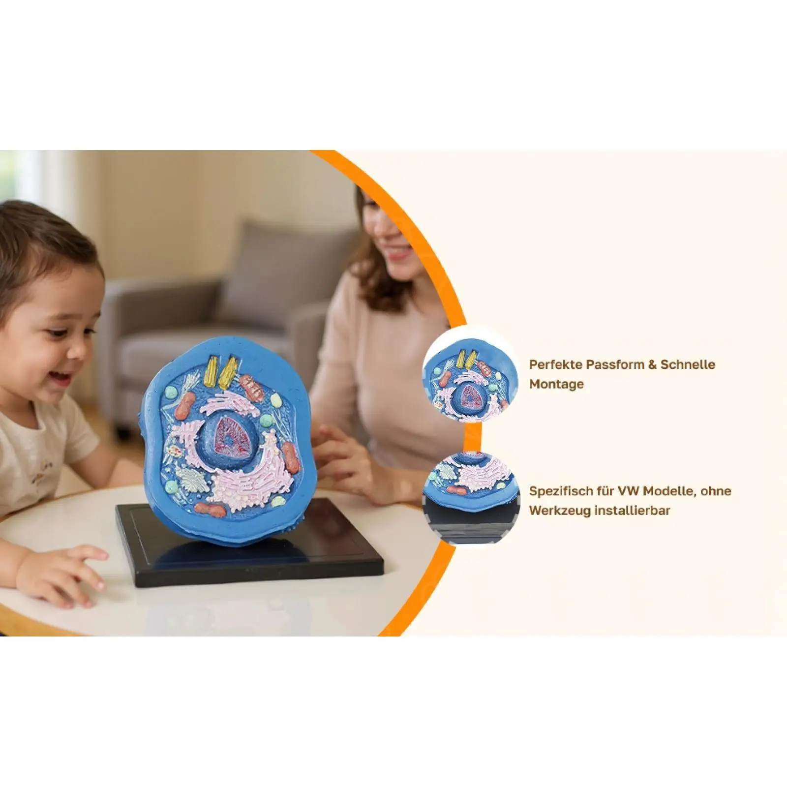 نموذج تشريح الخلوية الحيوانية مجموعات العلوم التعليمية مجموعات الجذعية نموذج تجريبي نموذج تشريحي لوازم التدريس للدراسة #2