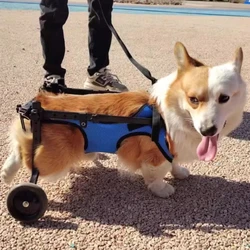 Silla de ruedas ajustable para perros pequeños con parálisis trasera