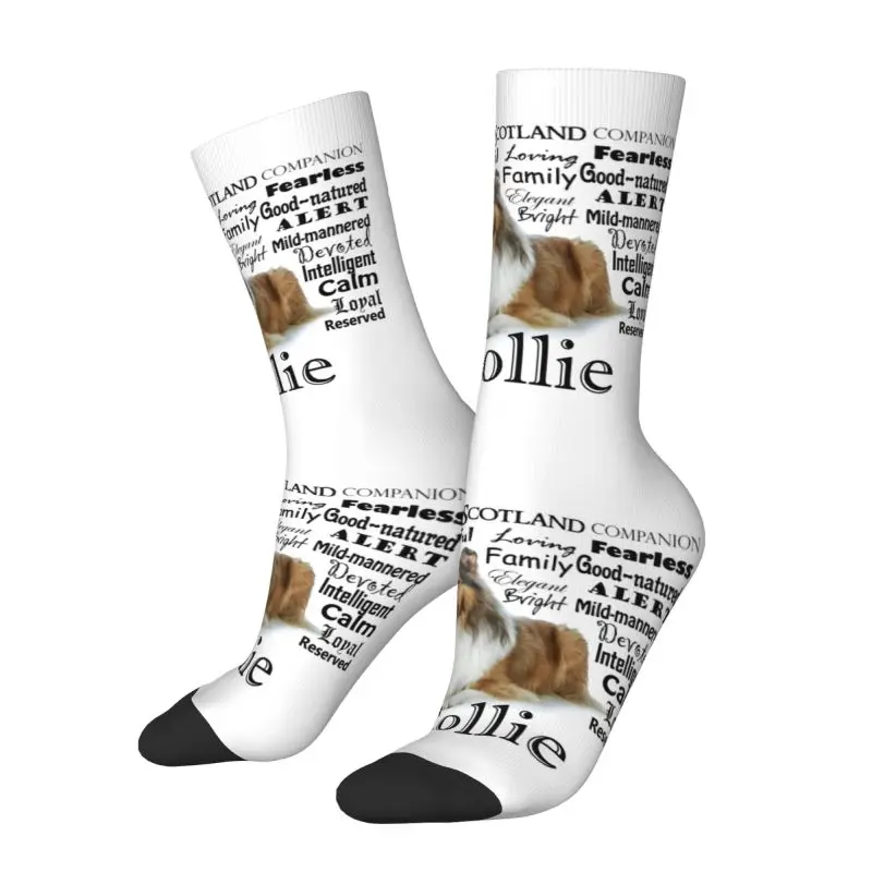 Calcetines elásticos con estampado de mascotas para hombre y mujer, medias con estampado de perro Collie, para verano, Otoño e Invierno