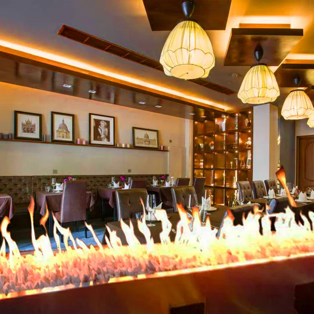 Liquefied Gas Customized Gas Fireplace Natural Gas