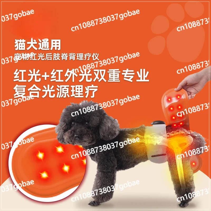 Xingjiakang Starchoice Pet Hind Limb Back Physiotherapy Instrument Elderly Fracture Cat Dog Rehabilitation Daily Necessities